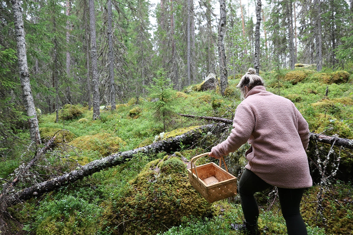 Skogens roll för Sverige