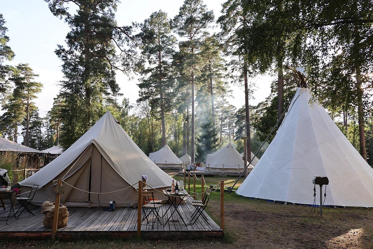 Wilderness Camp – när svensk vildmark möter internationell nyfikenhet