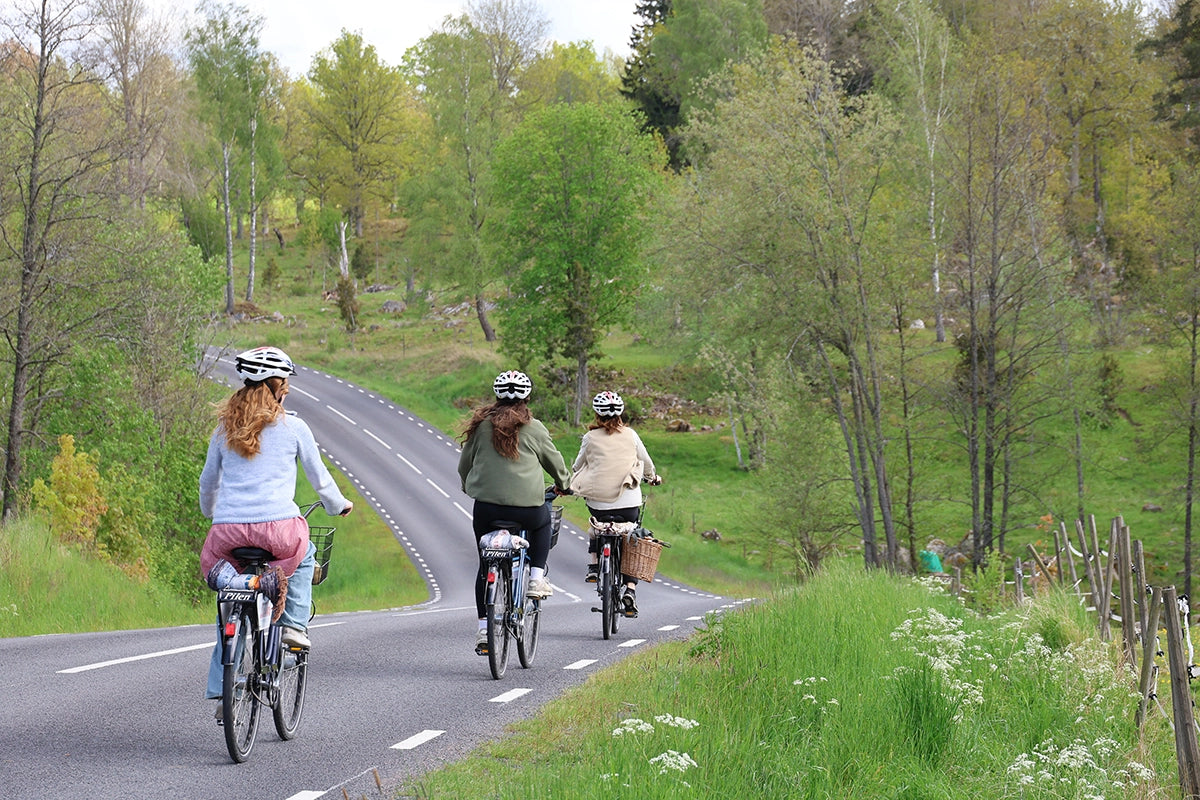 Svemester – så reser du smart och hållbart i Sverige