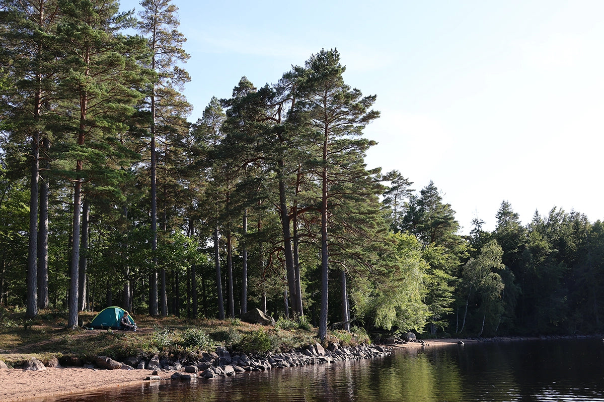 Enkelt att vara ute – friluftsliv för alla