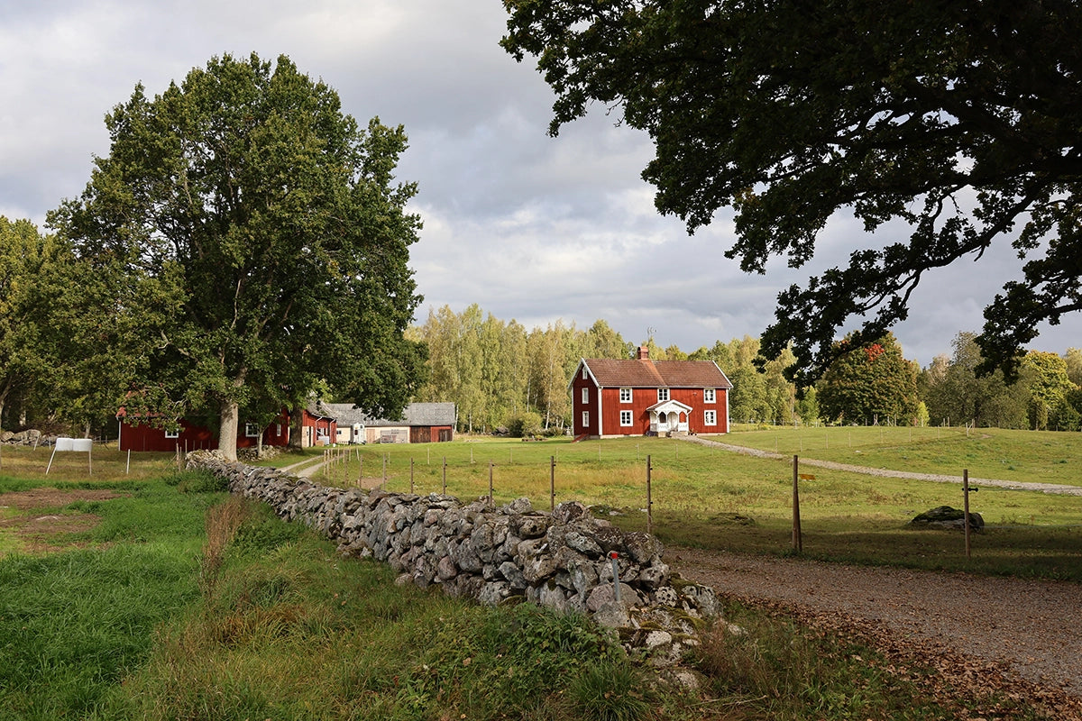 Hemma hos en svensk – vardagen som upplevelse